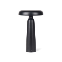 schwarz (± PMS Black)